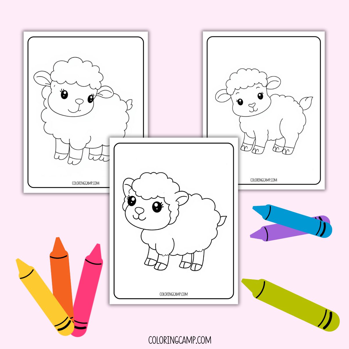 Mock up of Cute Sheep coloring page from Coloring Camp.