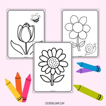 Mock up of three of the coloring pages from Coloring Camp of simple flower coloring pages for toddlers.