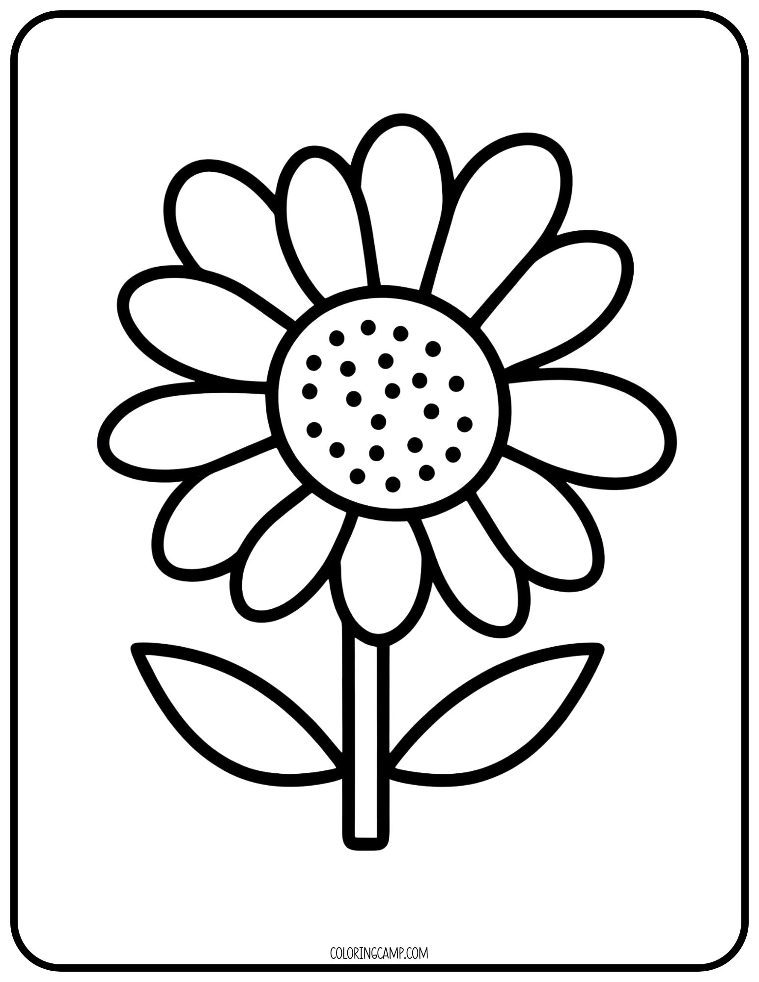 Flower Coloring Page for Toddlers from Coloring Camp.