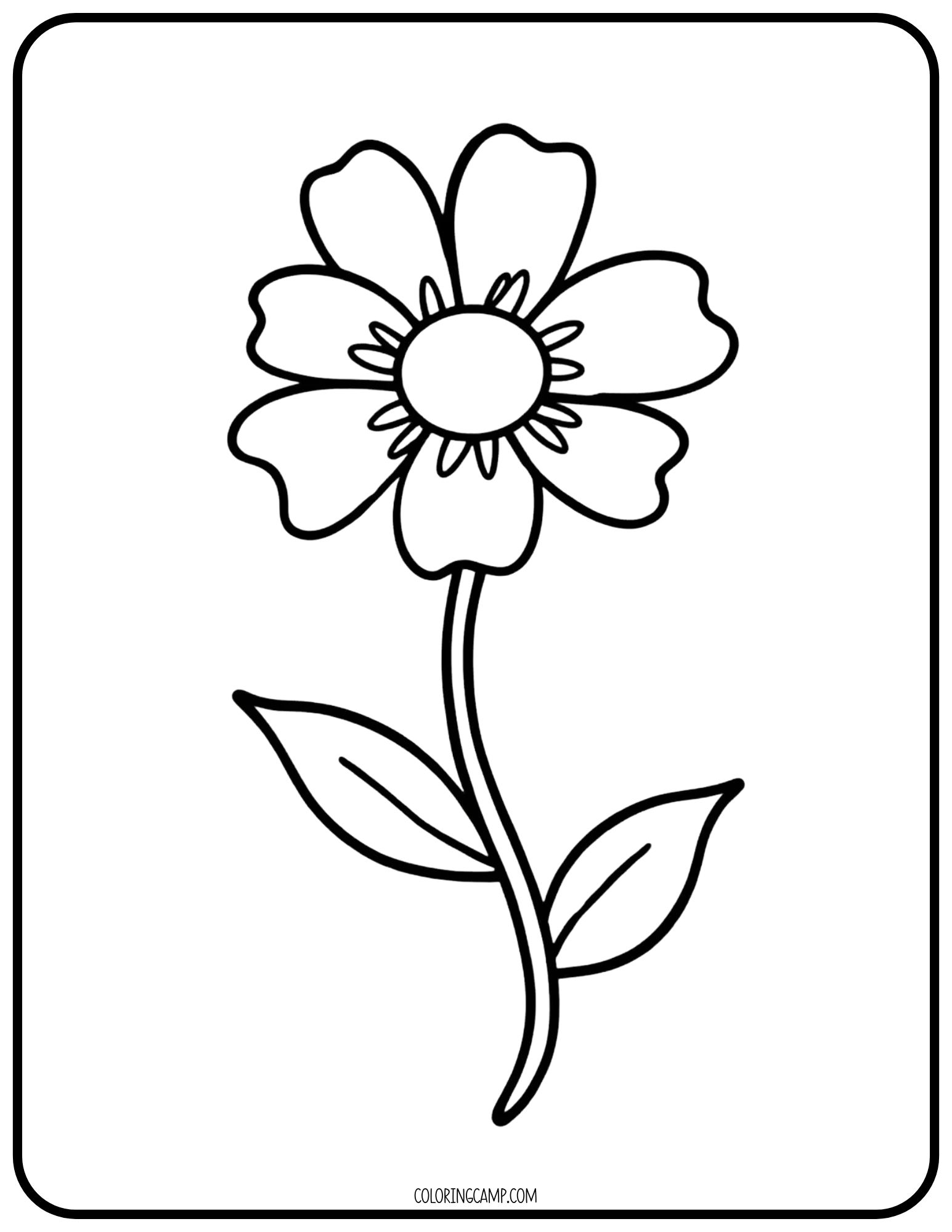 Flower Coloring Page for Toddlers from Coloring Camp.