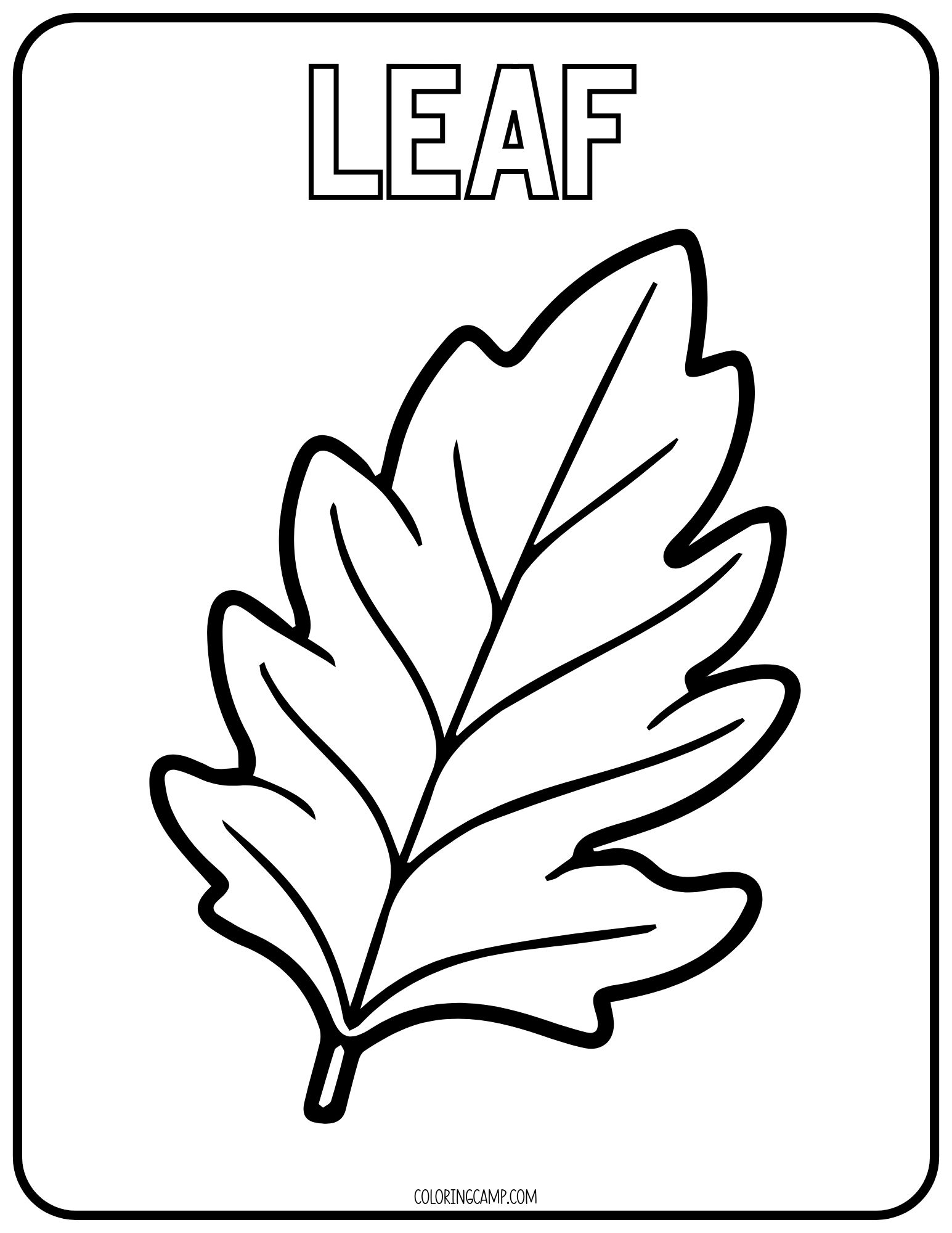 Leaf Coloring Page for Toddlers.