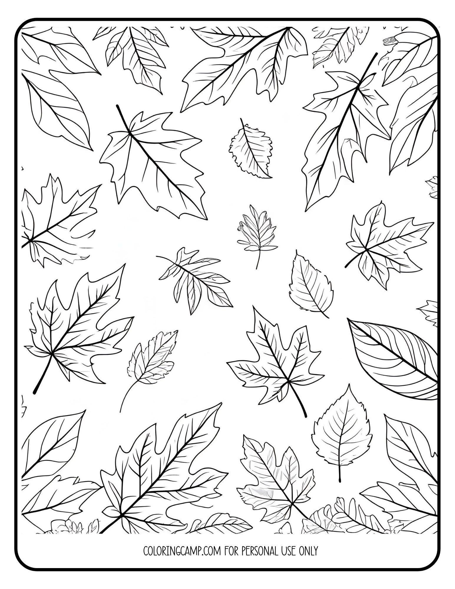 Fall leaves coloring page from Coloring Camp.