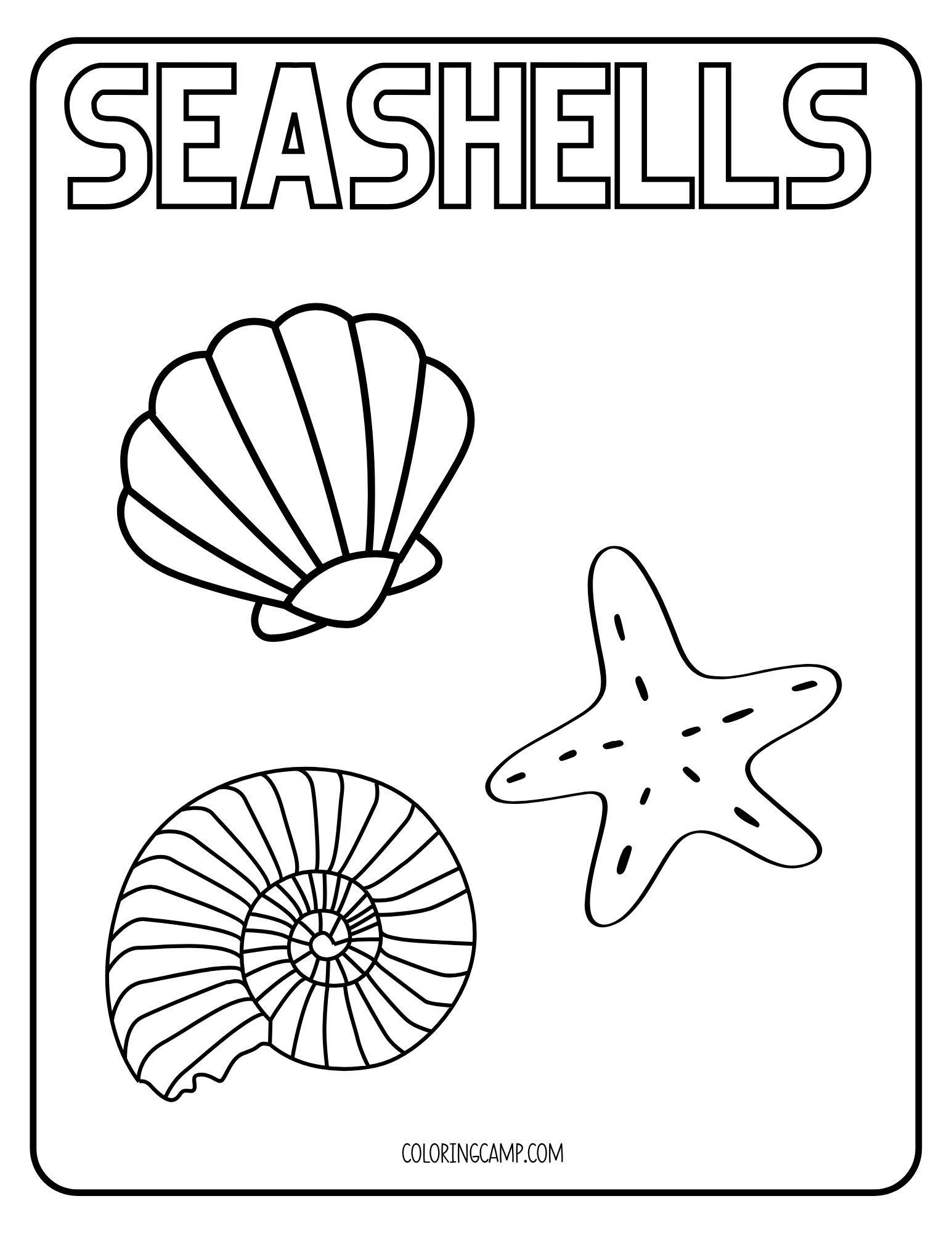 Seashell Kawaii Coloring Page.