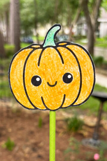 A fall wand craft.